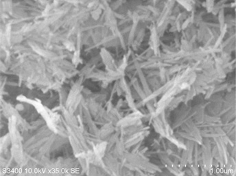 Palygorskite:SEM(走査型電子顕微鏡)画像35000倍