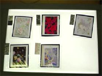 アーカイブ対象フィルム