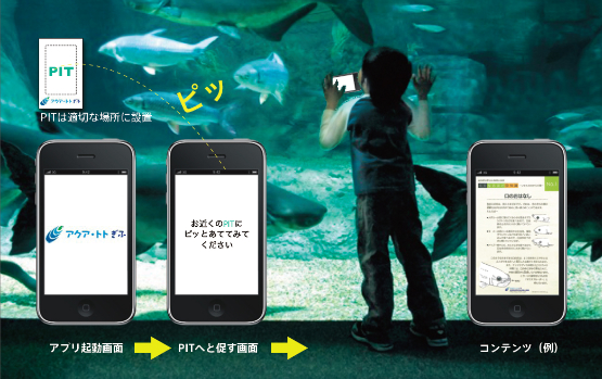 水族館の様子(企画中)