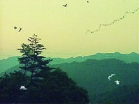 デジタル修復前