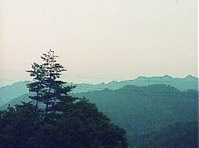 デジタル修復後（キズ、ゴミの除去、退色補正）
