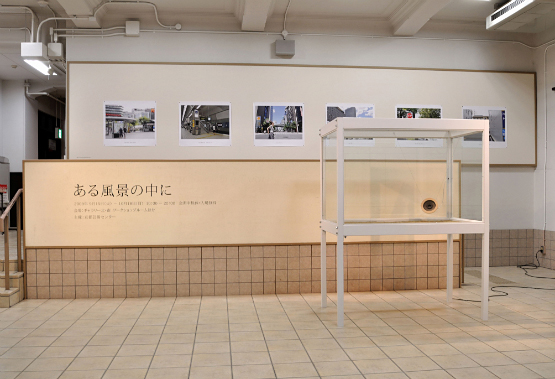 ある風景の中に　In a Landscape