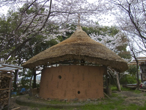 桜の下のつちのいえ。2011.4.9