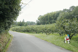 木津川市