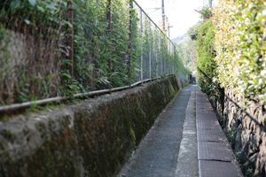 大山崎町
