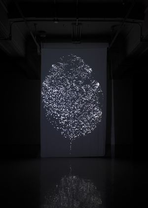 MOVING Exhibition4 平川祐樹個展 Mute Time
2012年5月3日(木) - 5月13日(日) 京都芸術センター ギャラリー南 photo by OMOTE Nobutada