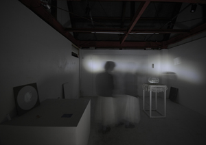 岡山愛美展「透明な影/transparent light」
