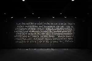ジュリー・ペレイラ 展示風景