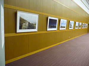 展示風景