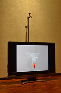 『金魚』 1110h×780w×210d mm 蛇口、水道管、モニター、映像(2分08秒、ループ)