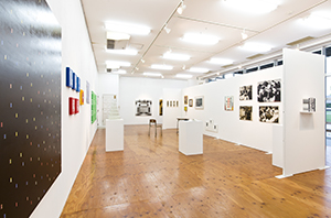 木内貴志個展「木内妄想芸術大学作品展 - 独りホームカミング - 」