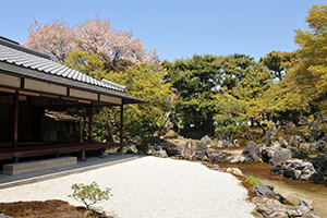 高台寺塔頭 圓徳院