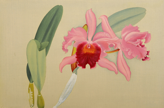 蘭にみた、夢 蘭花譜の誕生｜Event Report｜AMeeT