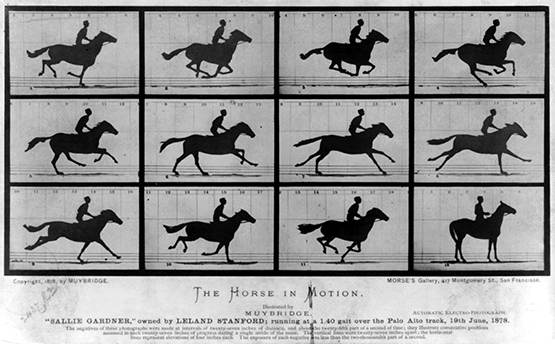 Eadweard Muybridge『The Horse in Motion』