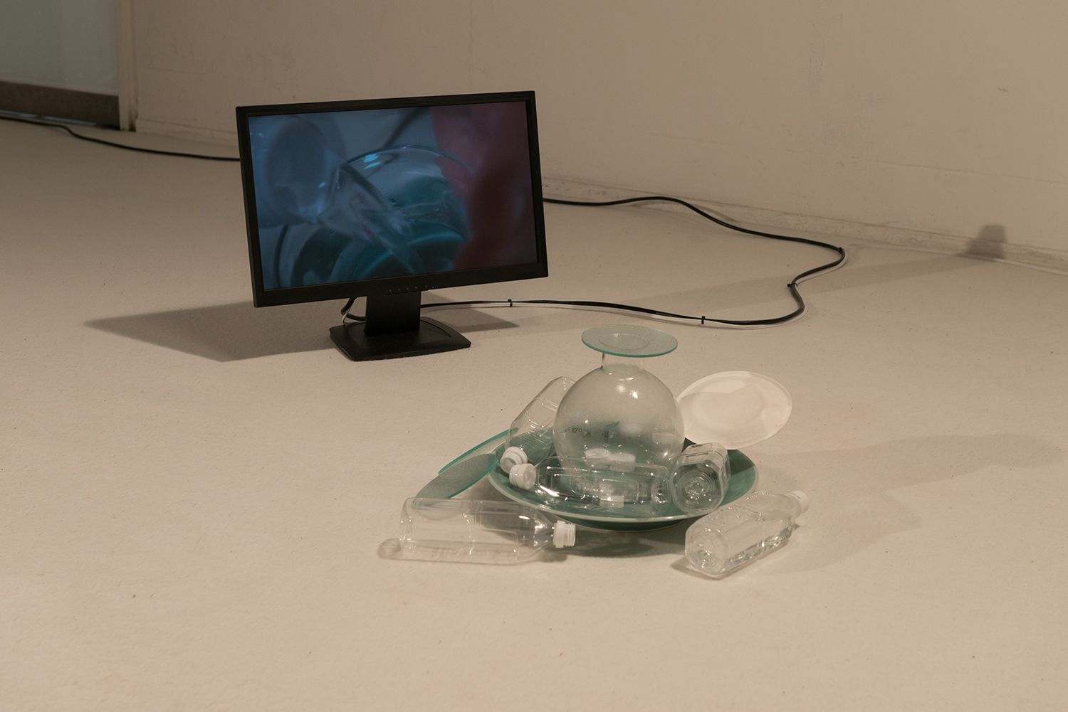 ペットボトル(写真はARTZONEでの展示時)