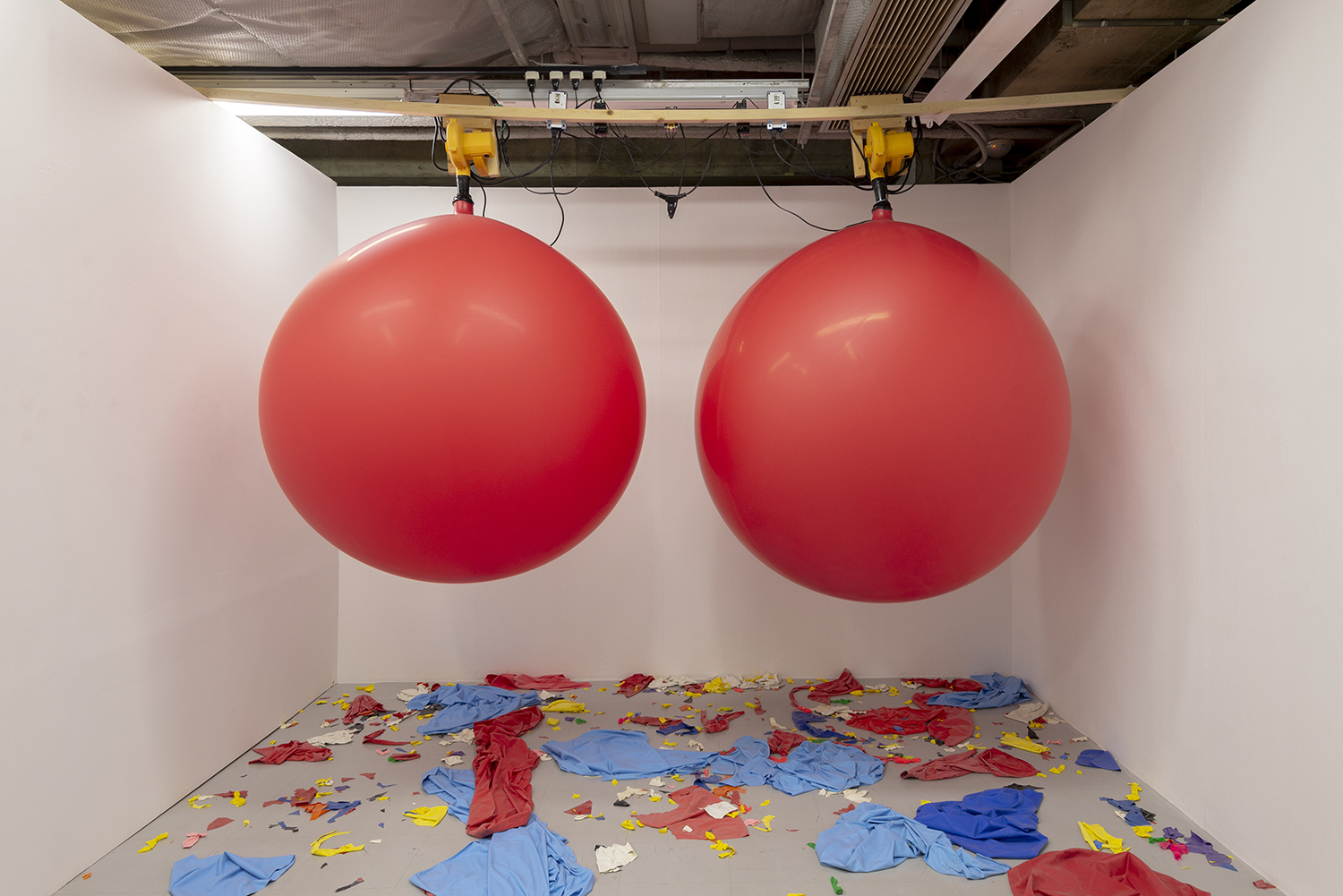 2019「塑性と蘇生」ARTZONE(京都)