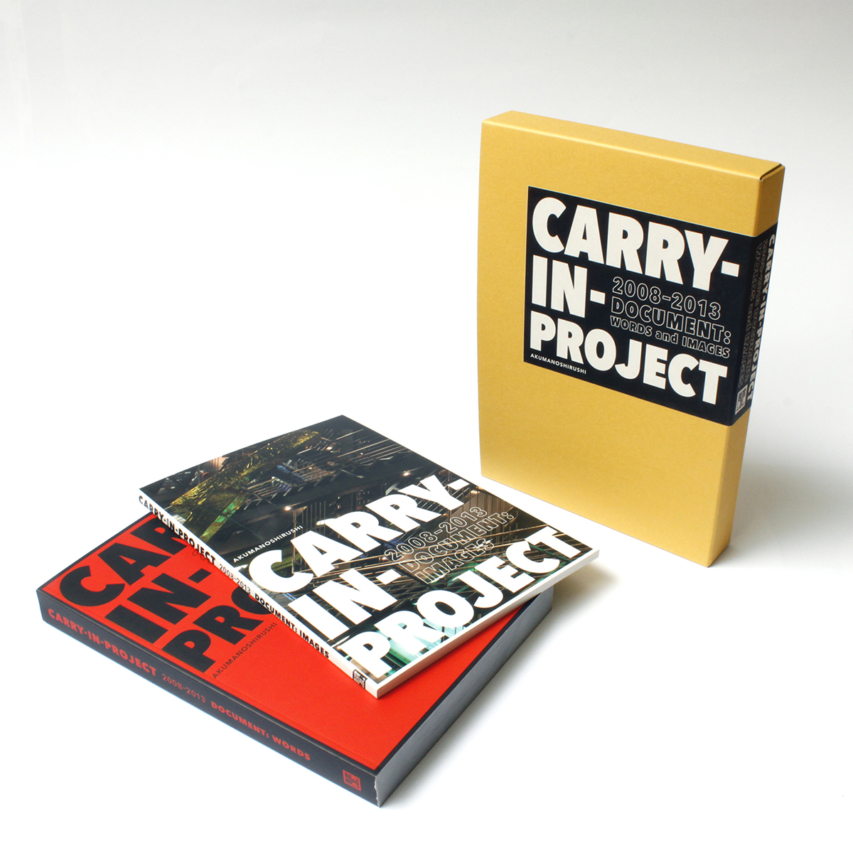 『CARRY-IN-PROJECT 2008-2013 DOCUMENT: WORDS and IMAGES』写真